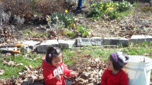 Even the little ones helped us clean up the pollinator garden this year! Thanks for your help kids!