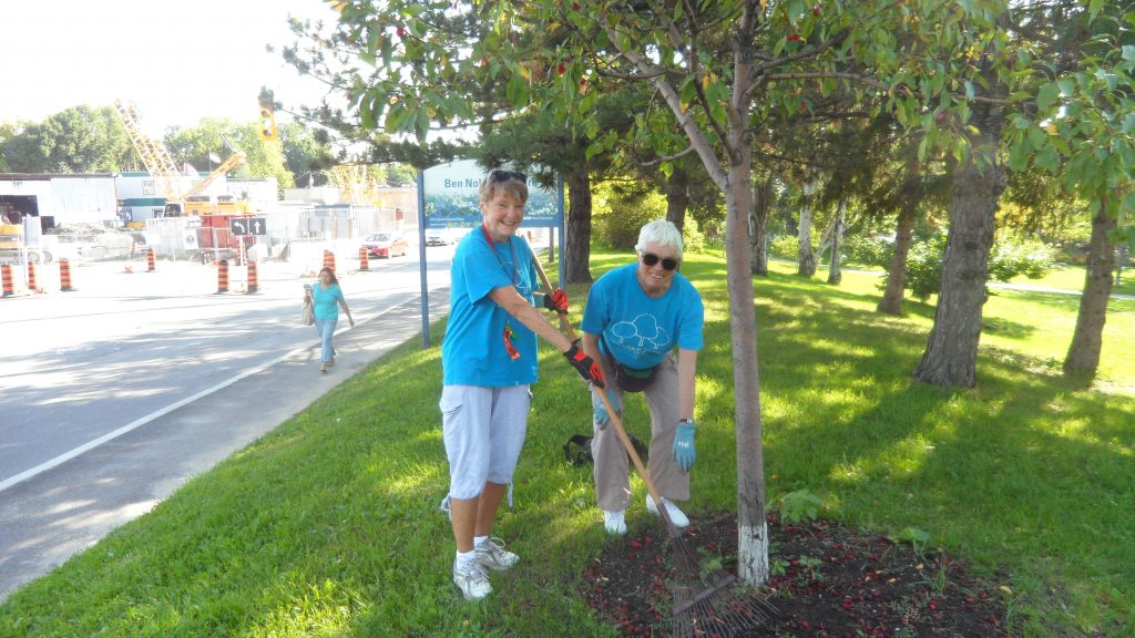 Lynn and Marilyn clean up around the crabapple tree in Ben Nobleman park Community Orchard