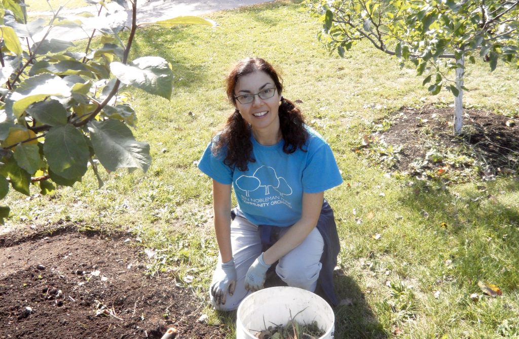 Susan weeding around the apple trees in the east side of the park.