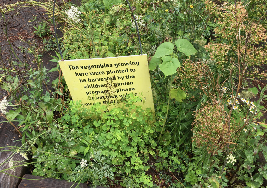 Sign in vegetable garden.