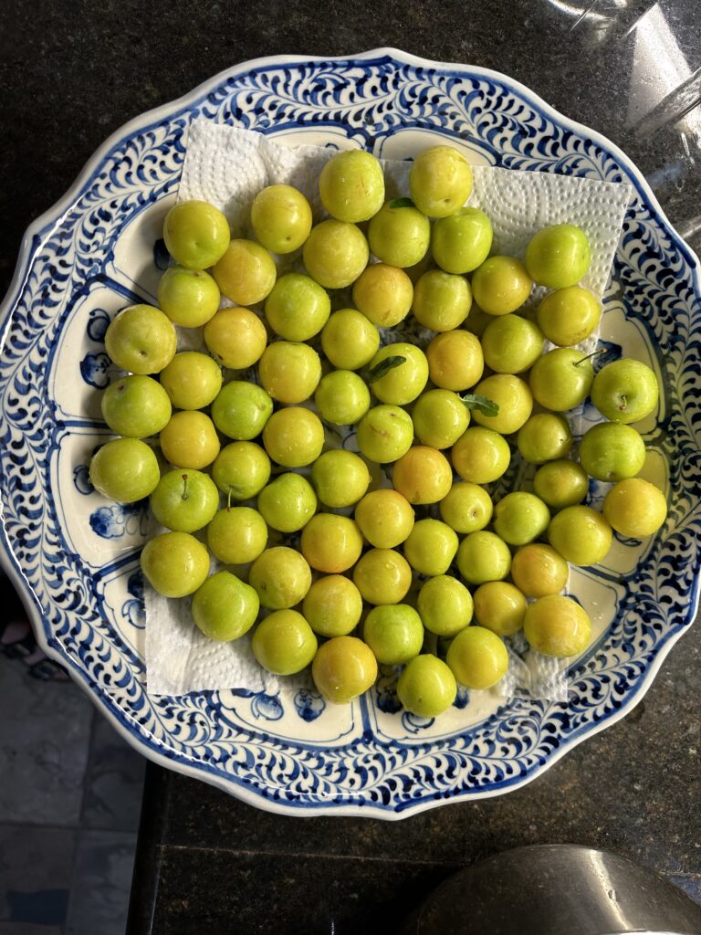 Yellow plums in blue and white bowl.