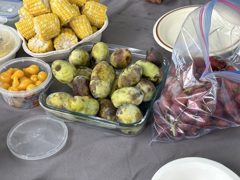 pawpaw fruit on a plate together with cooked corn in a bowl, yellow tomatoes in a bowl, and purple grapes in a bag. 