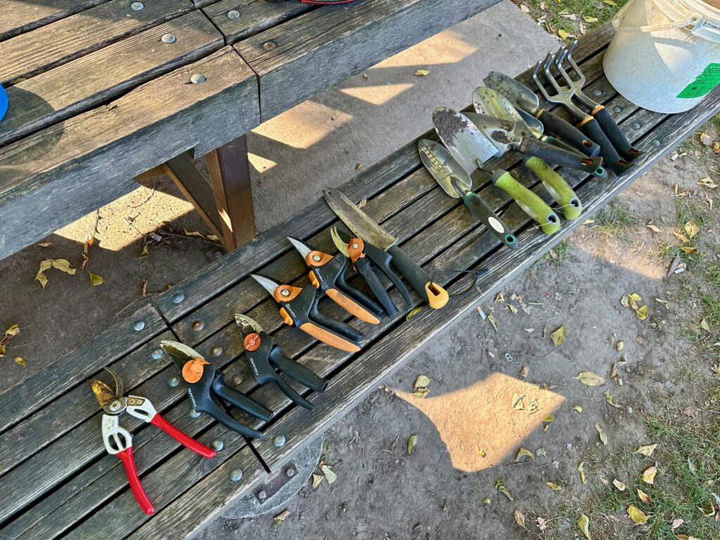 Hand pruners and weeding tools on the harvest table.