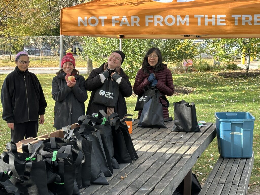 Women standing near an outdoor harvest table with bags of apples on it. 
