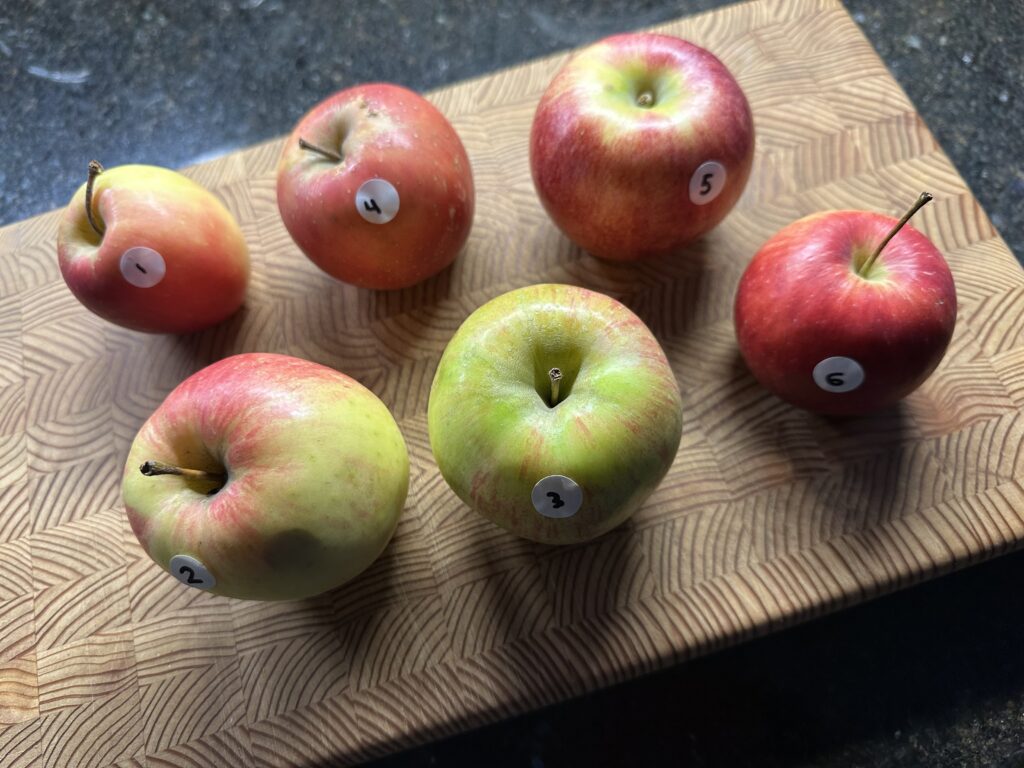 Selection of unique apples on cutting board.