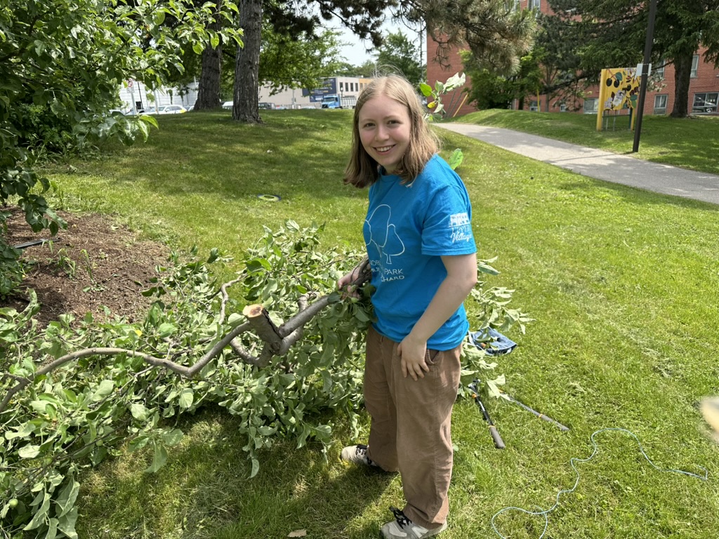 Young woman holding pruned off branch from an apple tree.