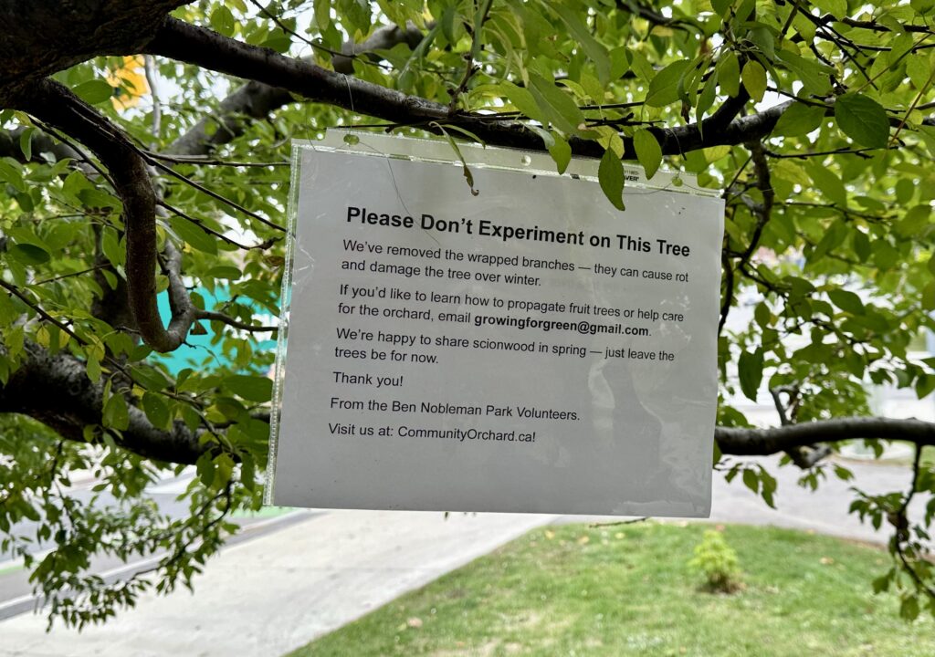 Note hanging on tree in a plastic sleeve saying "Please don't experiment on this tree". 